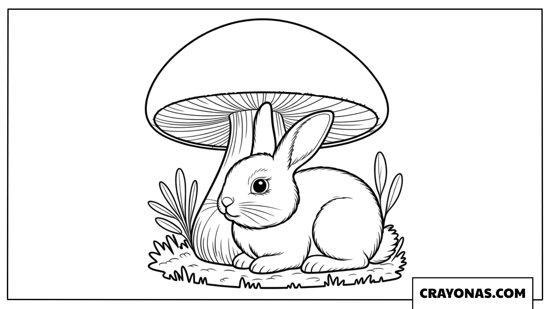 Wild Bunny Under Mushroom Coloring Page