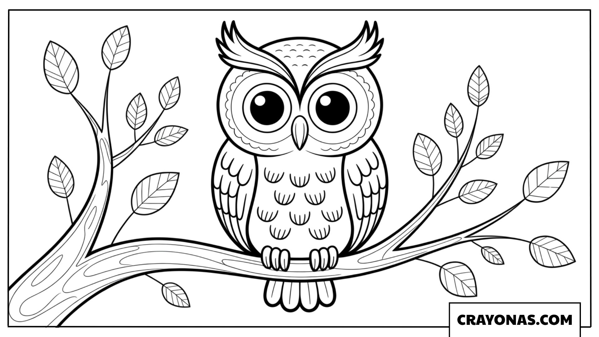Wise Owl on Branch Fall Coloring Page