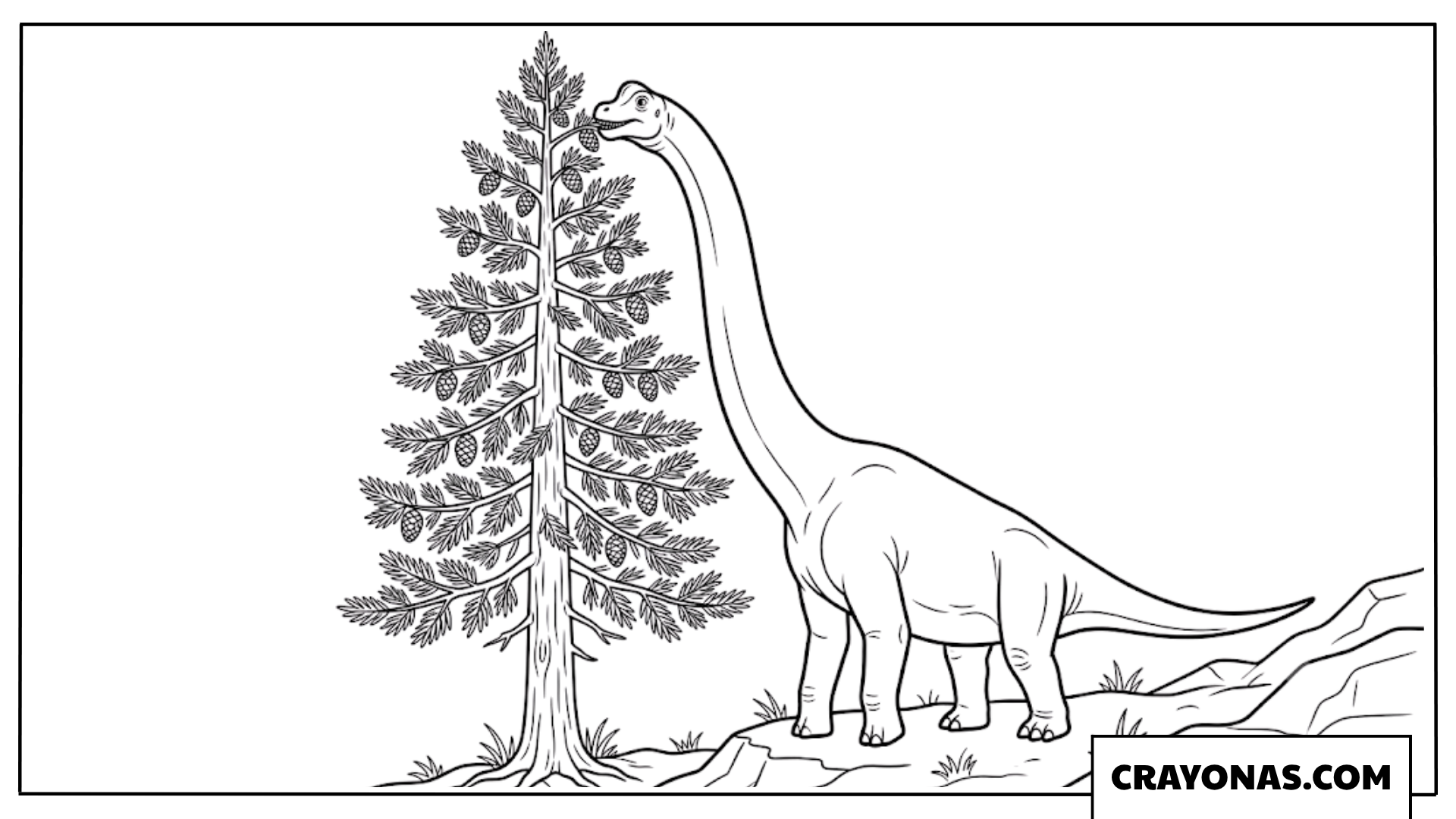 Brachiosaurus Eating Leaves From a Tall Pine Tree Coloring Page