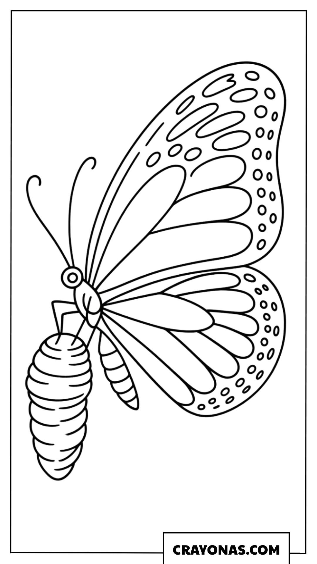 Butterfly Emerging from Chrysalis Coloring Page