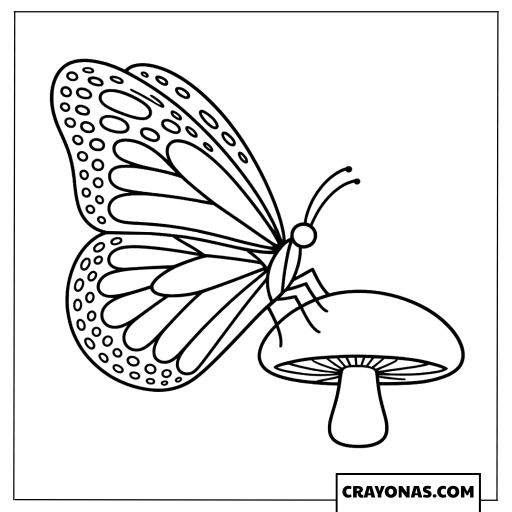 Butterfly Perched on a Mushroom Coloring Page