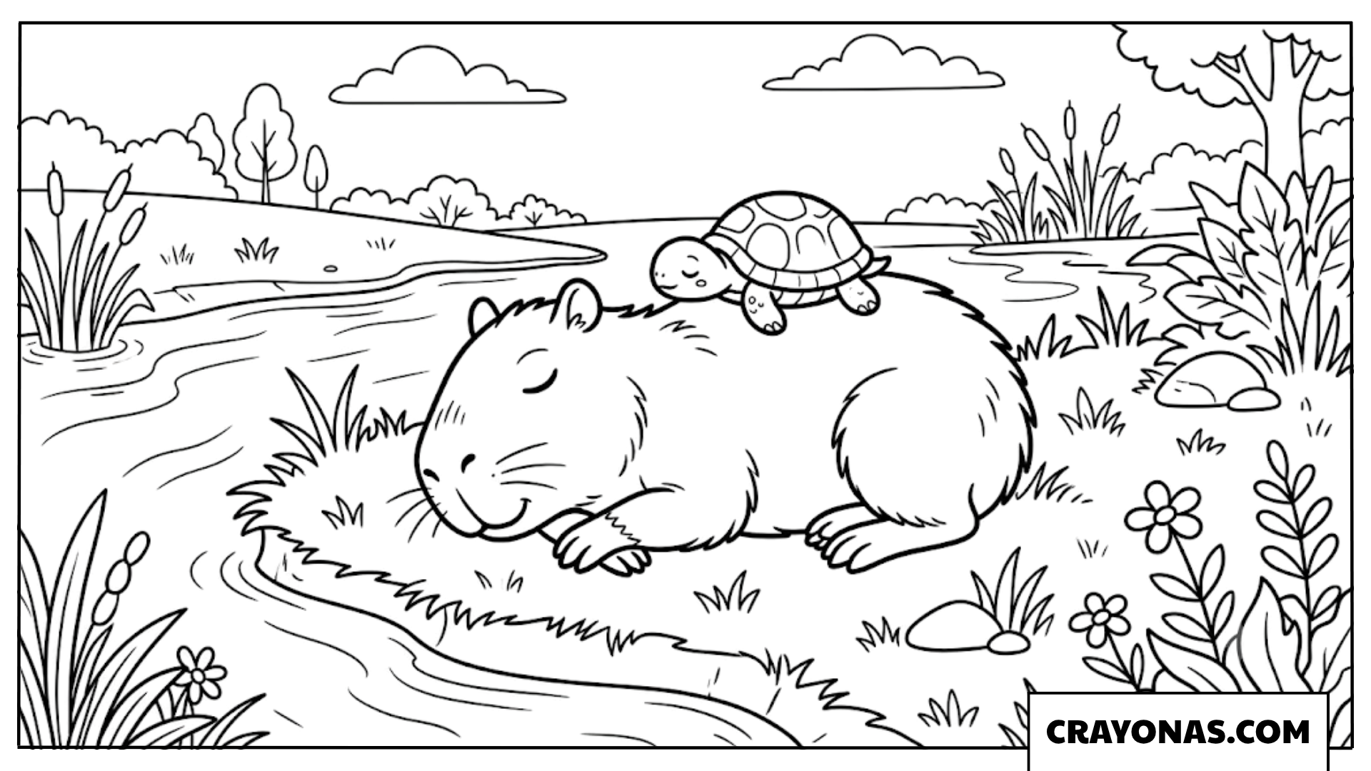 Capybara Sleeping with Turtle Friend on Back Coloring Page