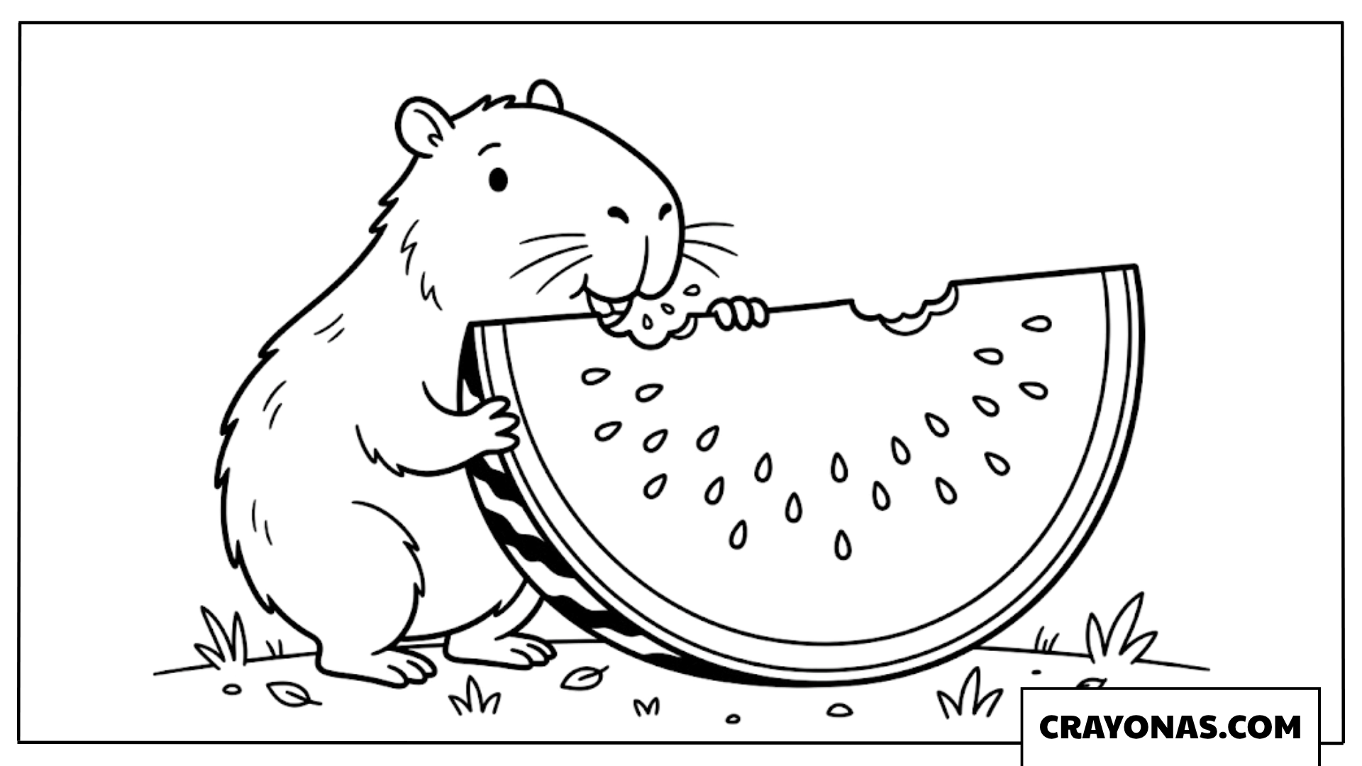 Cute Capybara Eating Big Watermelon Slice Coloring Page