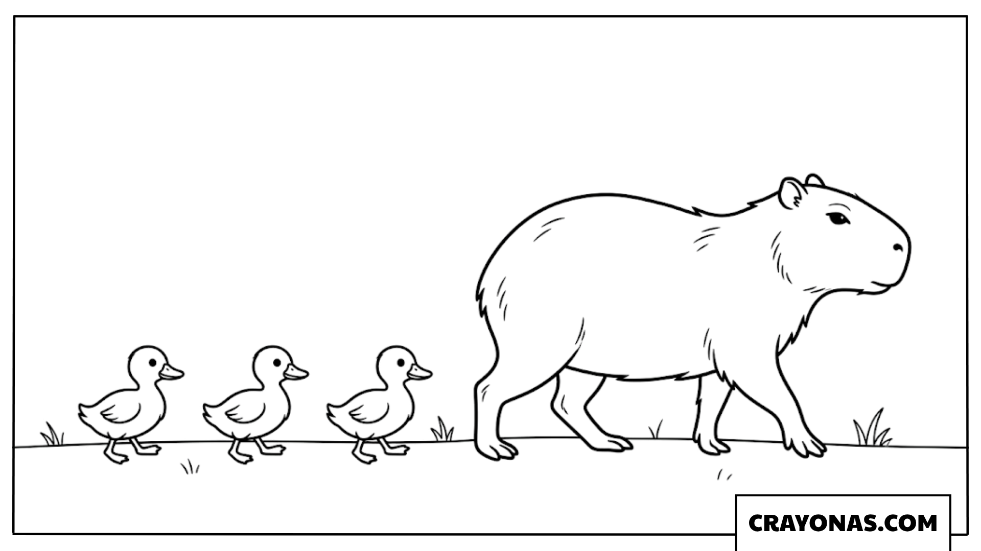 Cute Capybara Walking with Three Ducklings Coloring Page