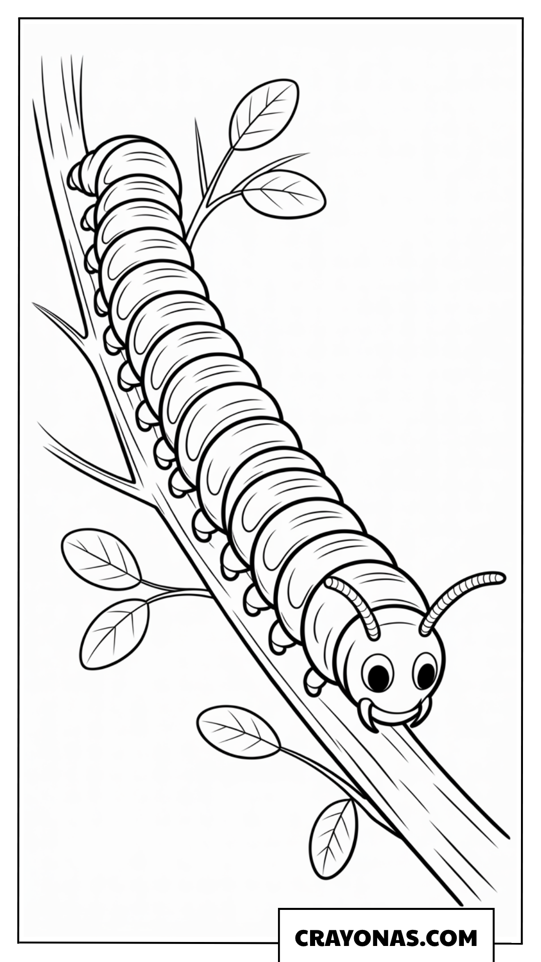 Cute Cartoon Caterpillar on a Branch Coloring Page