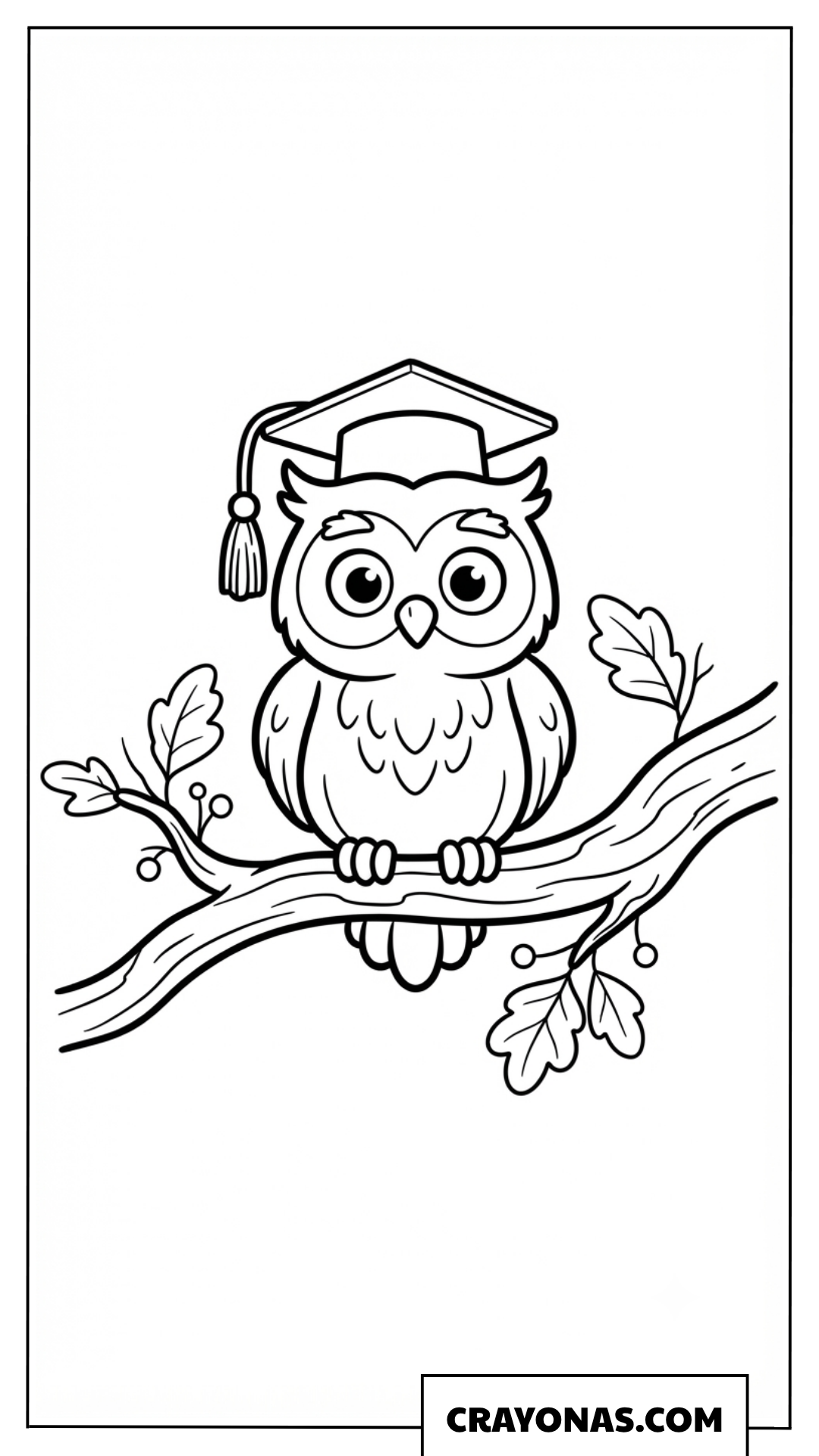 Cute Owl with Graduation Cap Coloring Page