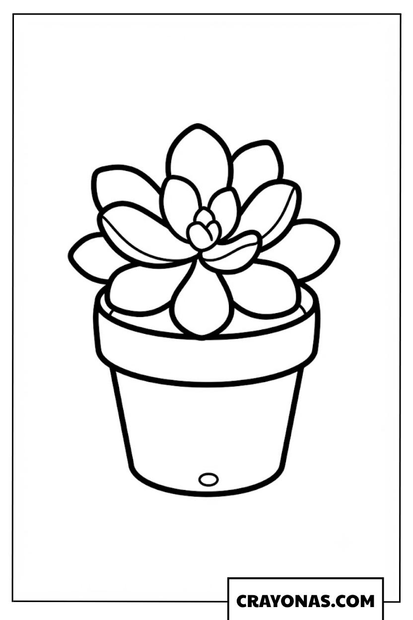 Cute Potted Succulent Coloring Page