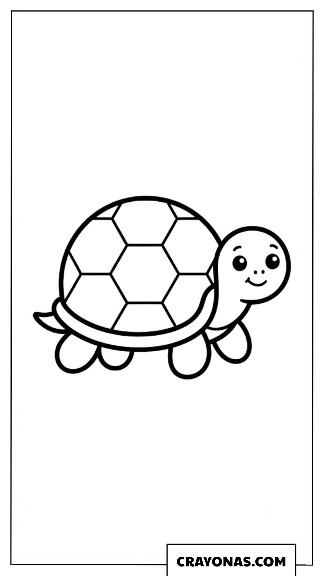 Cute Turtle Coloring Page