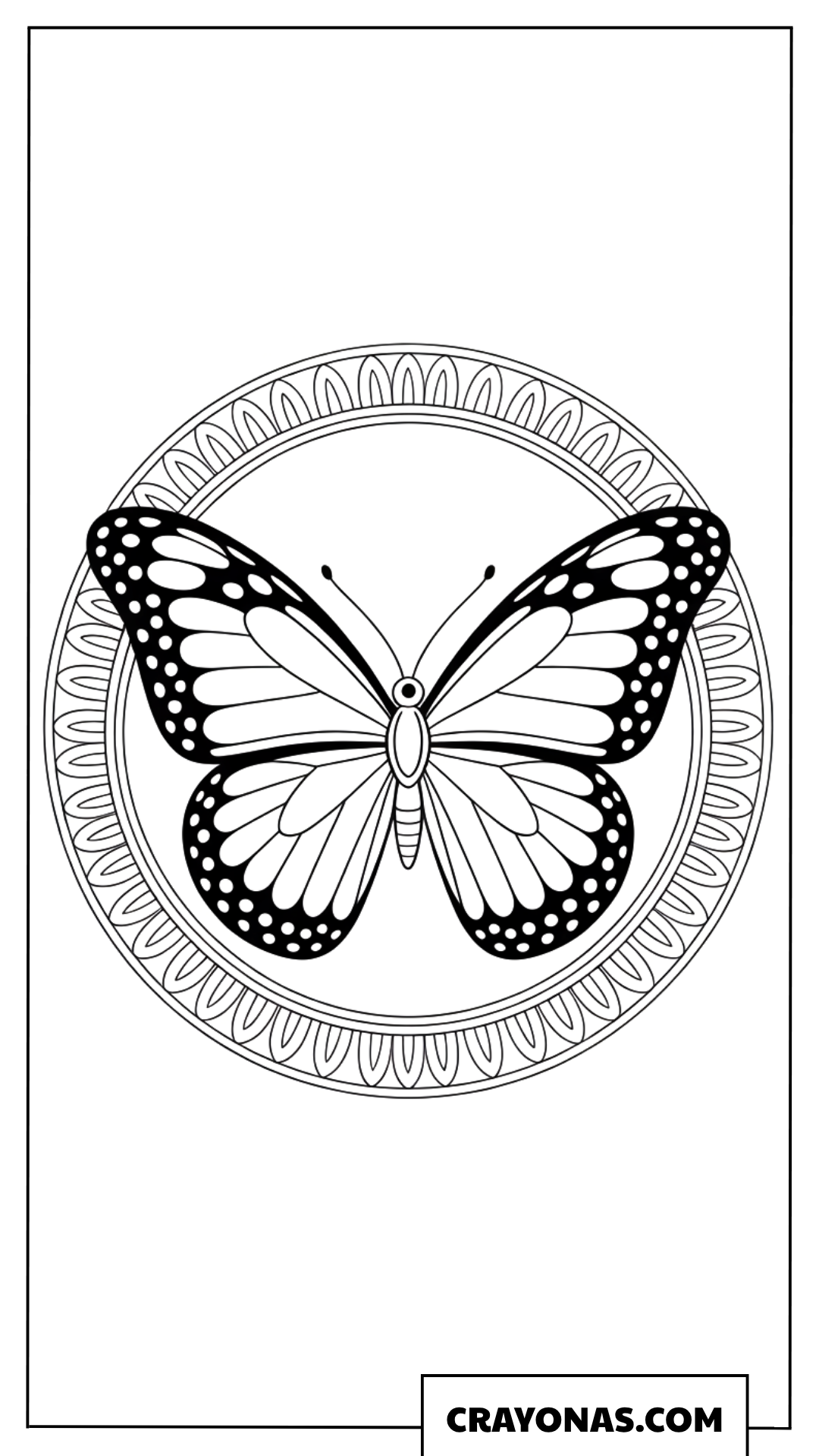 Detailed Butterfly Mandala Circular Coloring Page