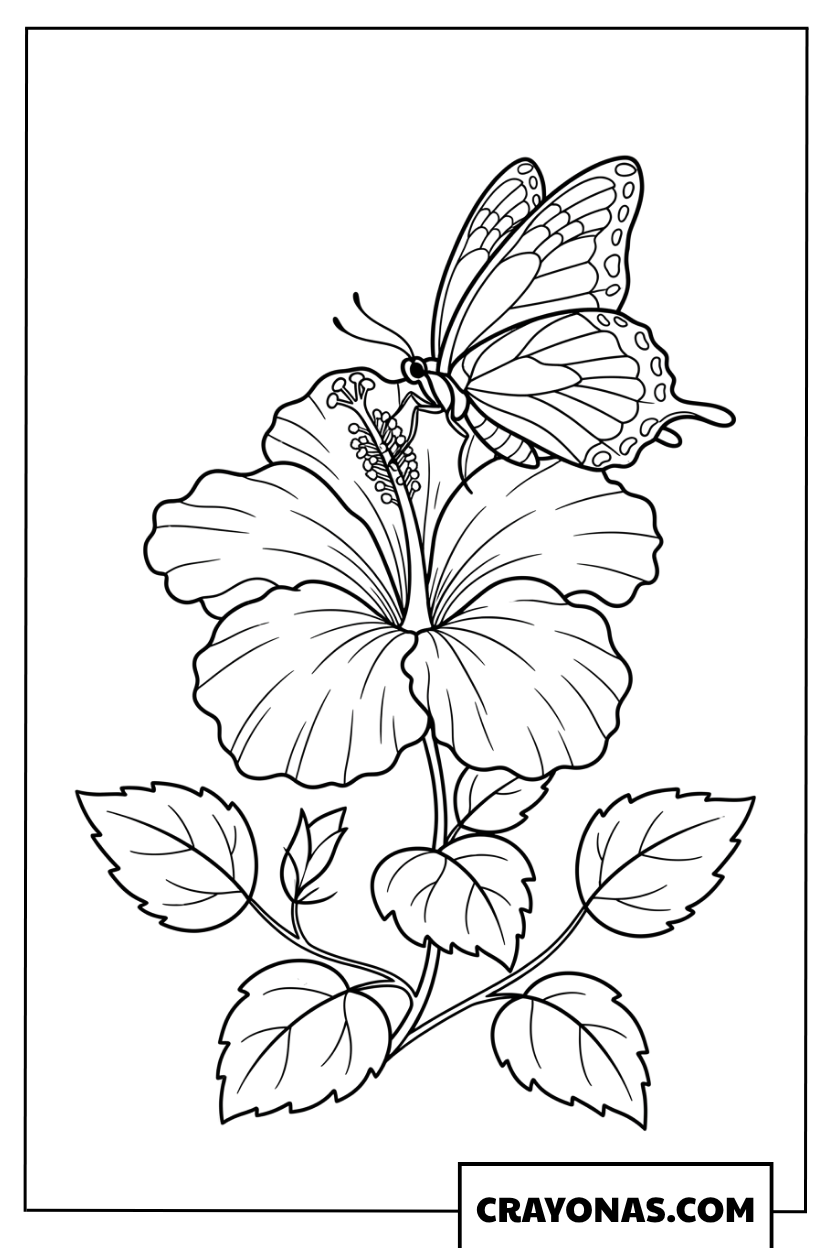 Detailed Butterfly Perched on a Hibiscus Flower Coloring Page