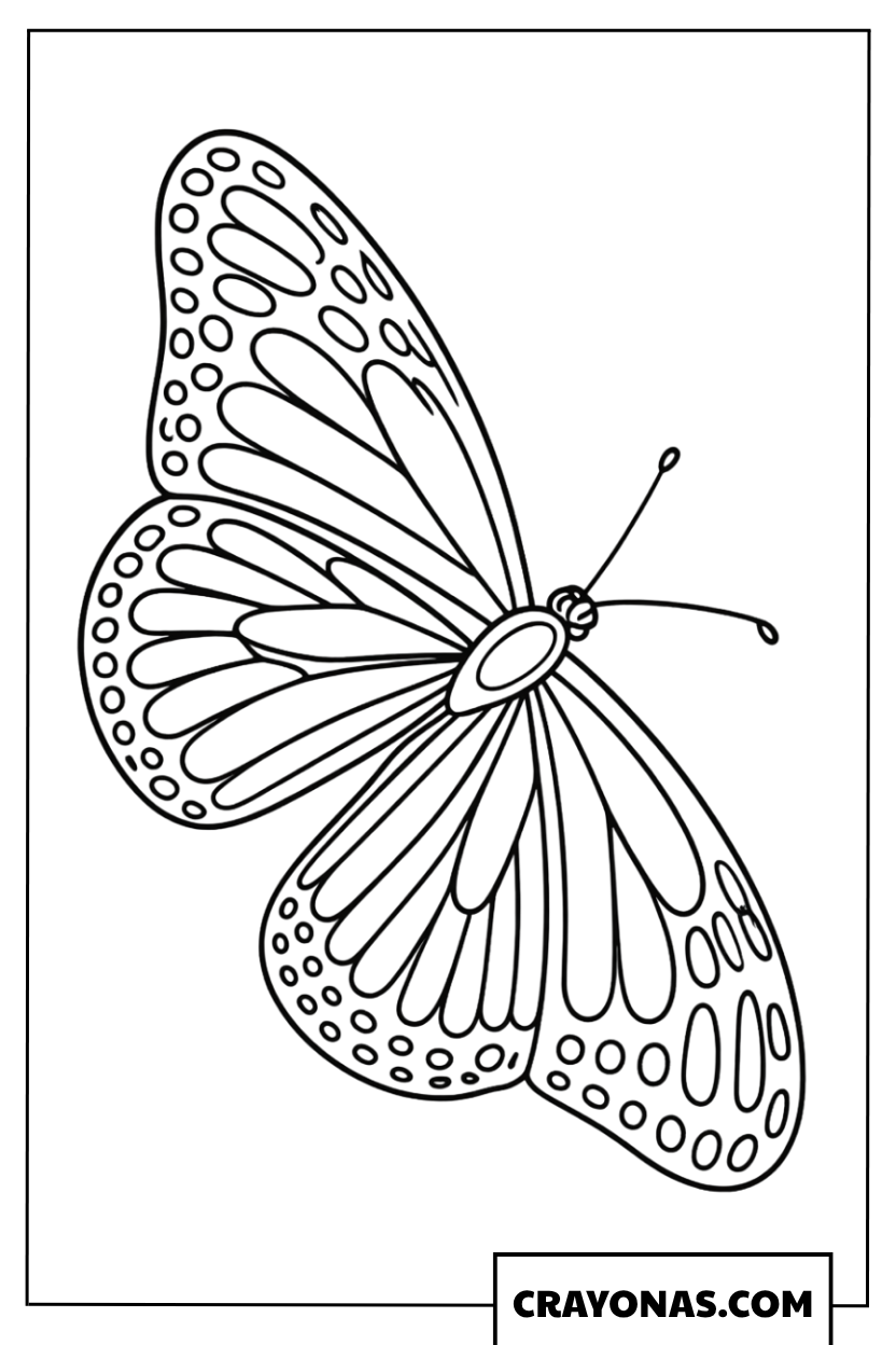 Detailed Realistic Monarch Butterfly Coloring Page