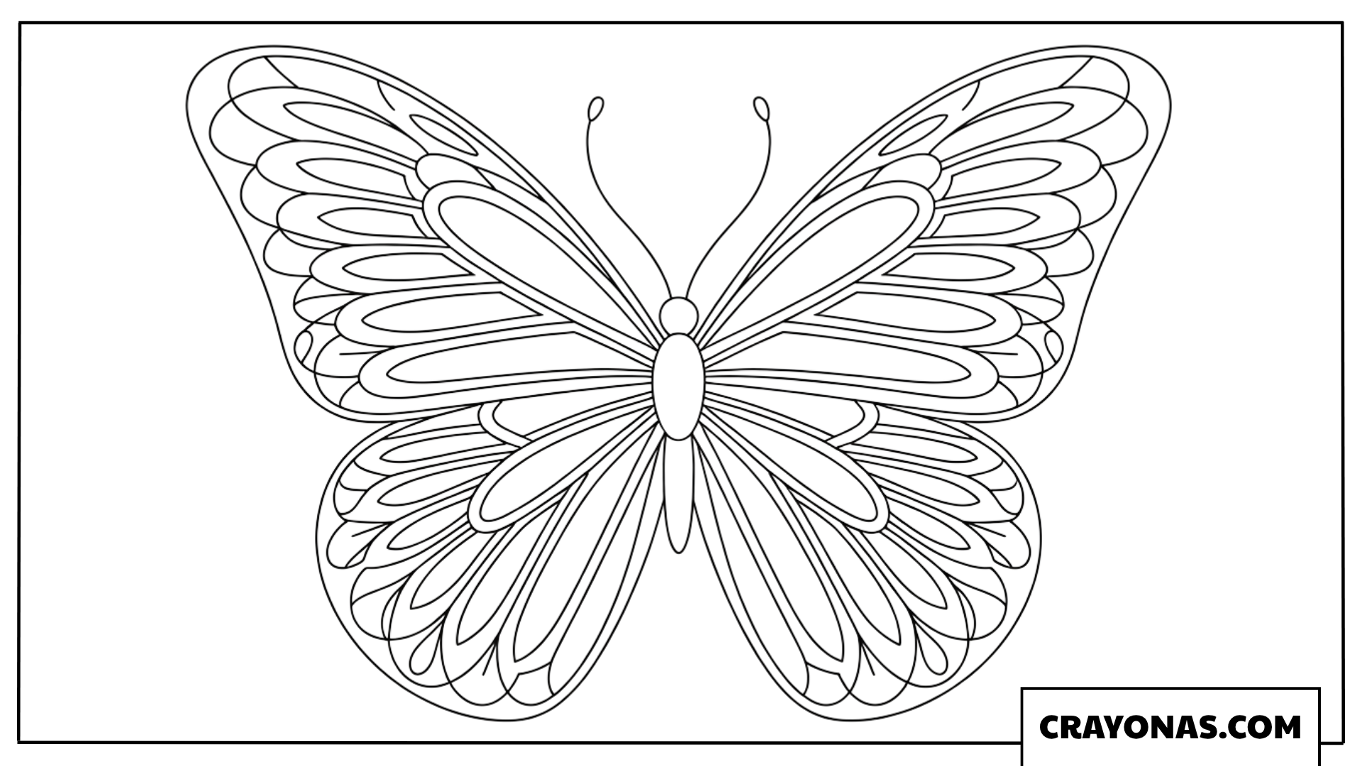 Detailed Zentangle Butterfly Display Coloring Page