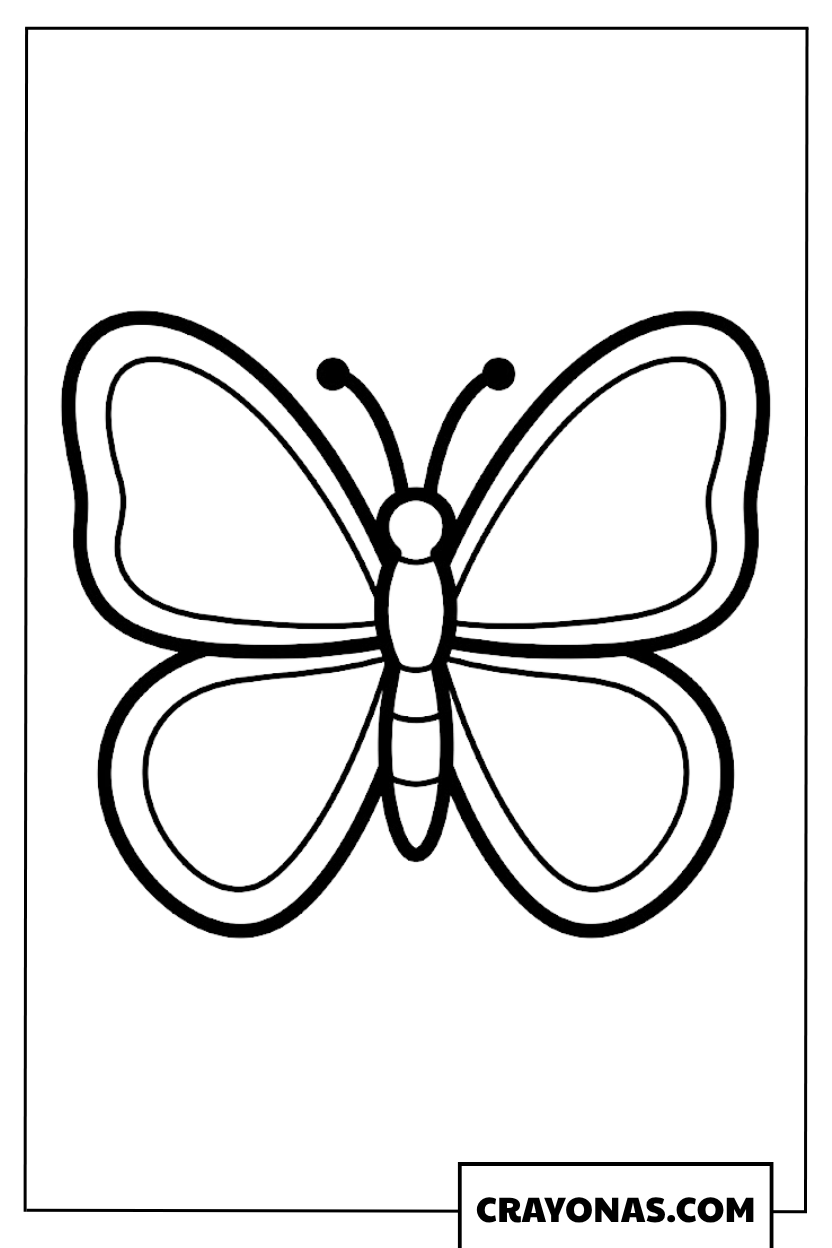 Easy Double Lined Wing Butterfly Coloring Page