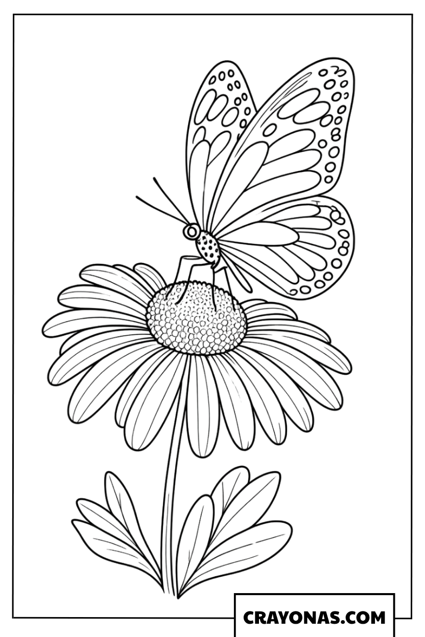 Elegant Butterfly Sitting on a Large Daisy Coloring Page
