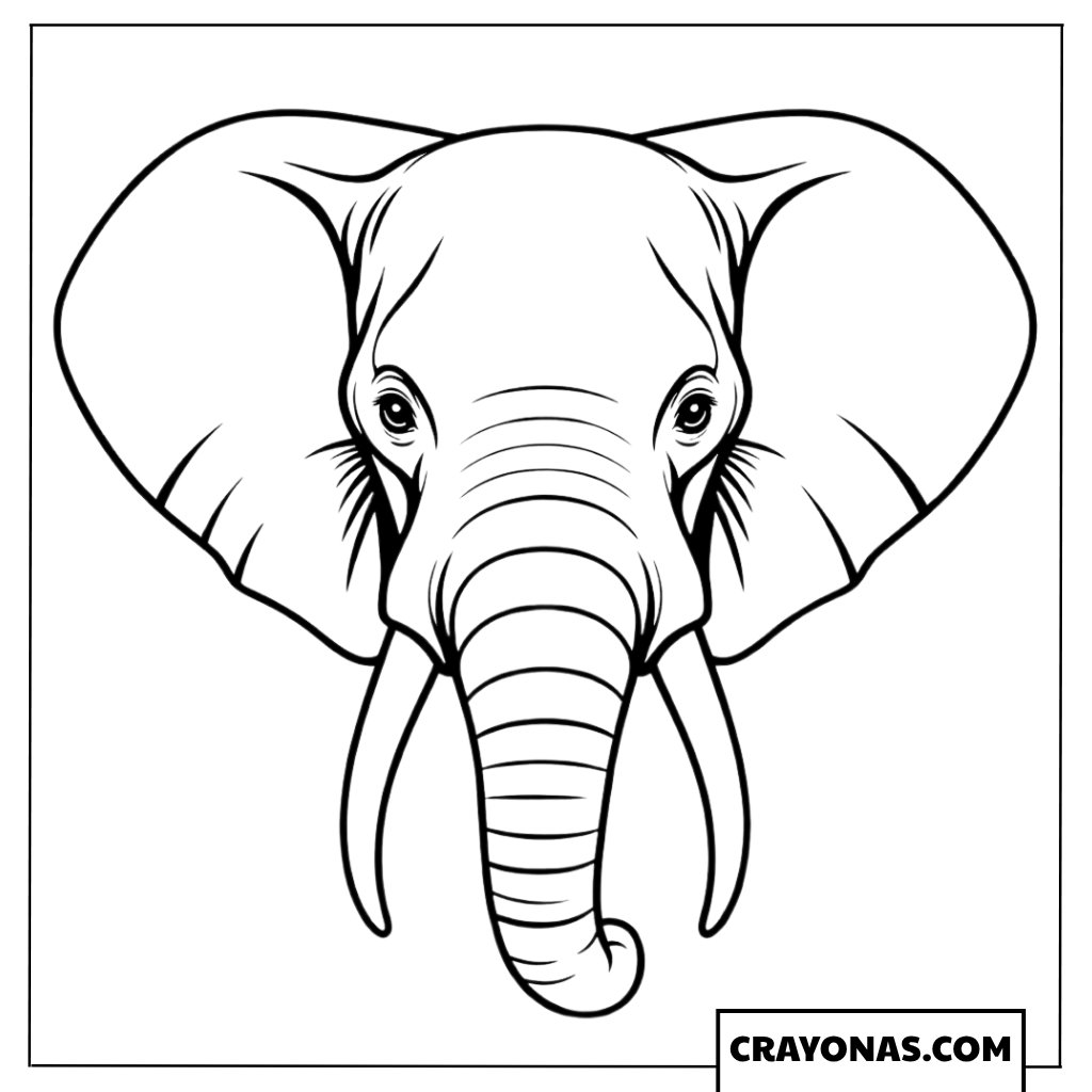 Elephant Head Portrait Coloring Page
