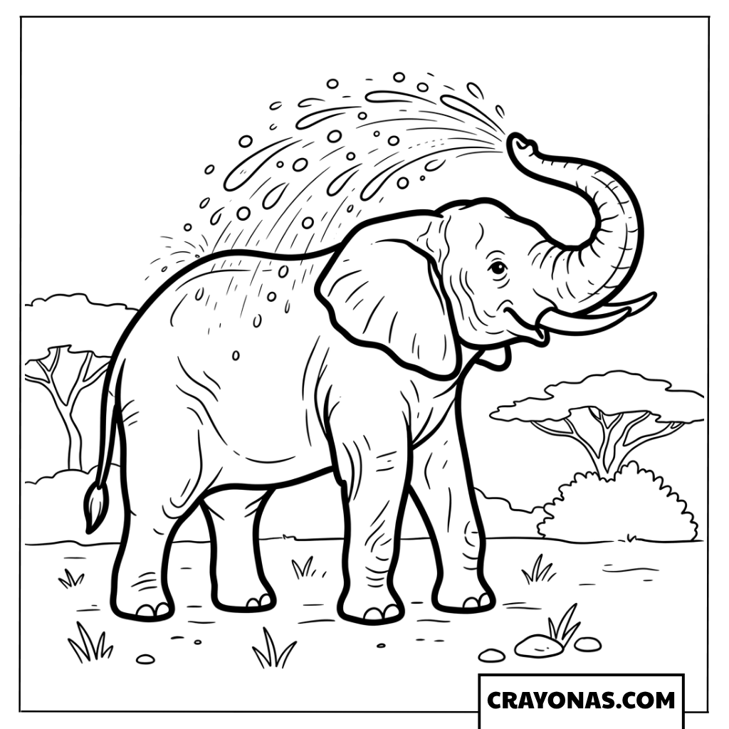 Elephant Spraying Water Coloring Page