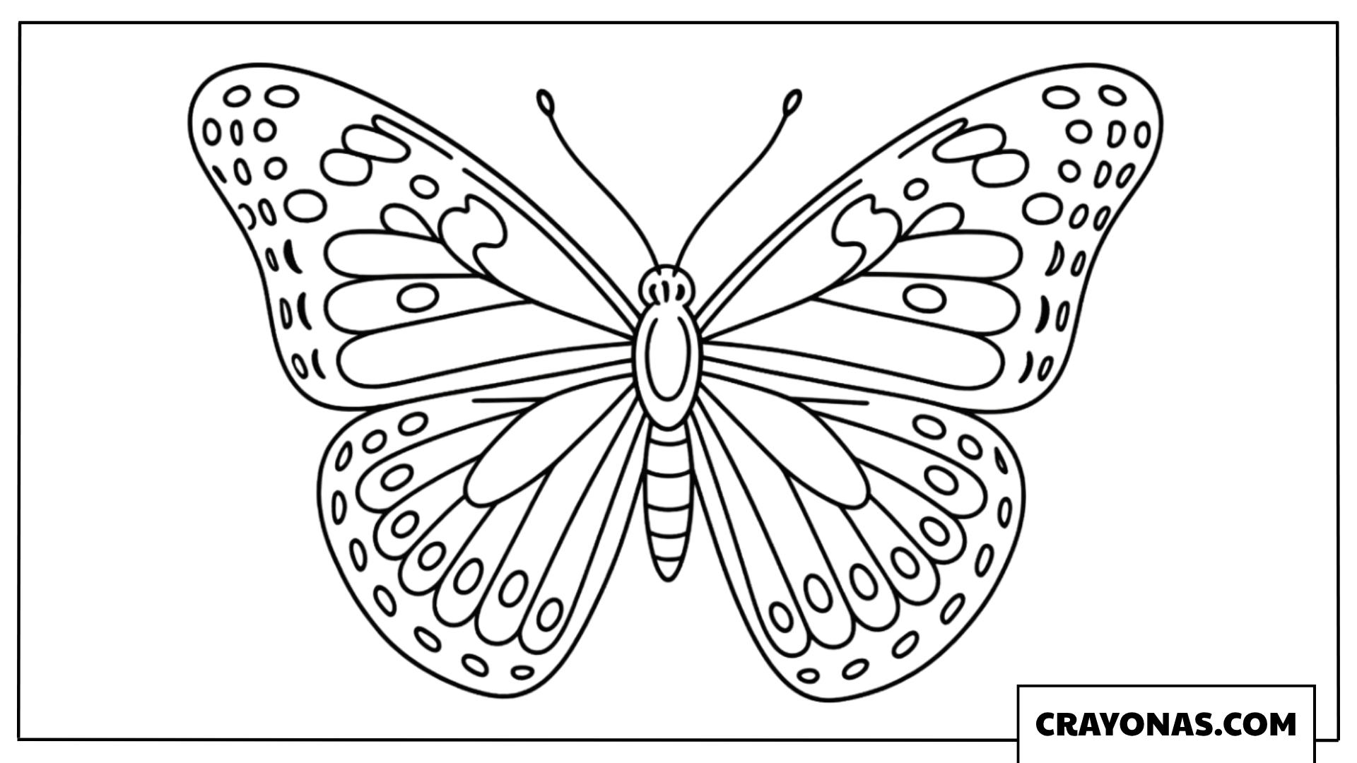 Exotic Spotted Wing Butterfly Coloring Page