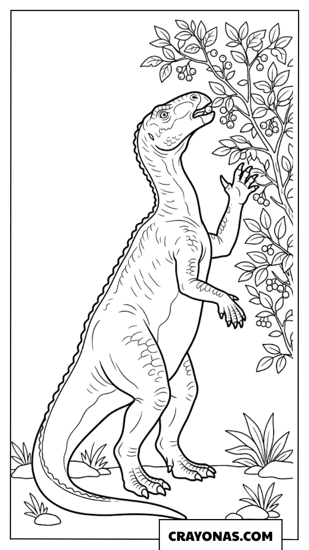 Iguanodon Standing Tall to Eat Tree Leaves Coloring Page