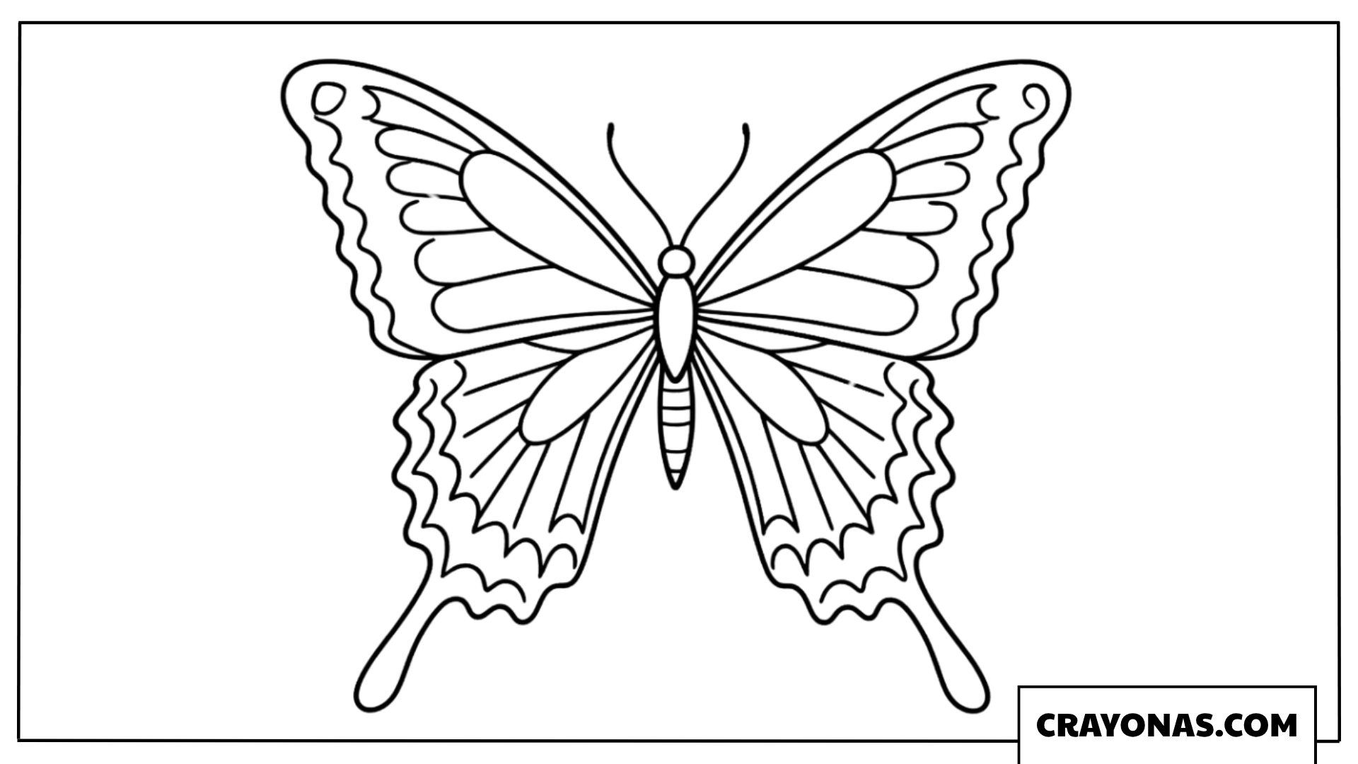 Majestic Exotic Swallowtail Butterfly Coloring Page