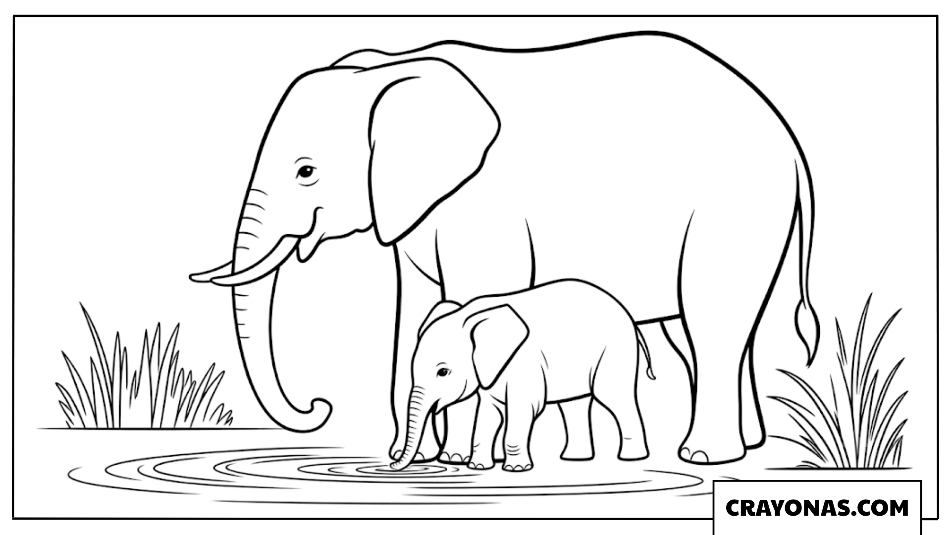 Mother and Baby Elephant by the Water Coloring Page