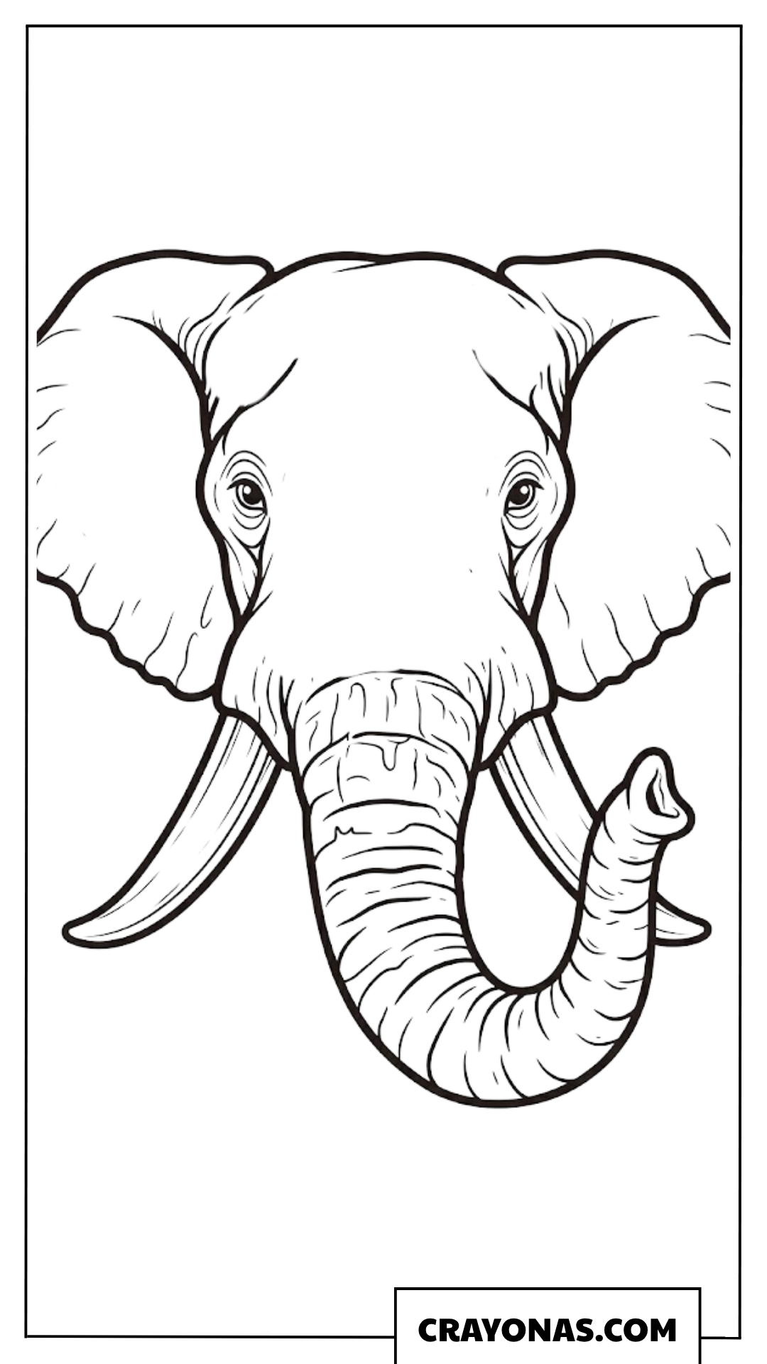 Realistic African Elephant Head Portrait Coloring Page
