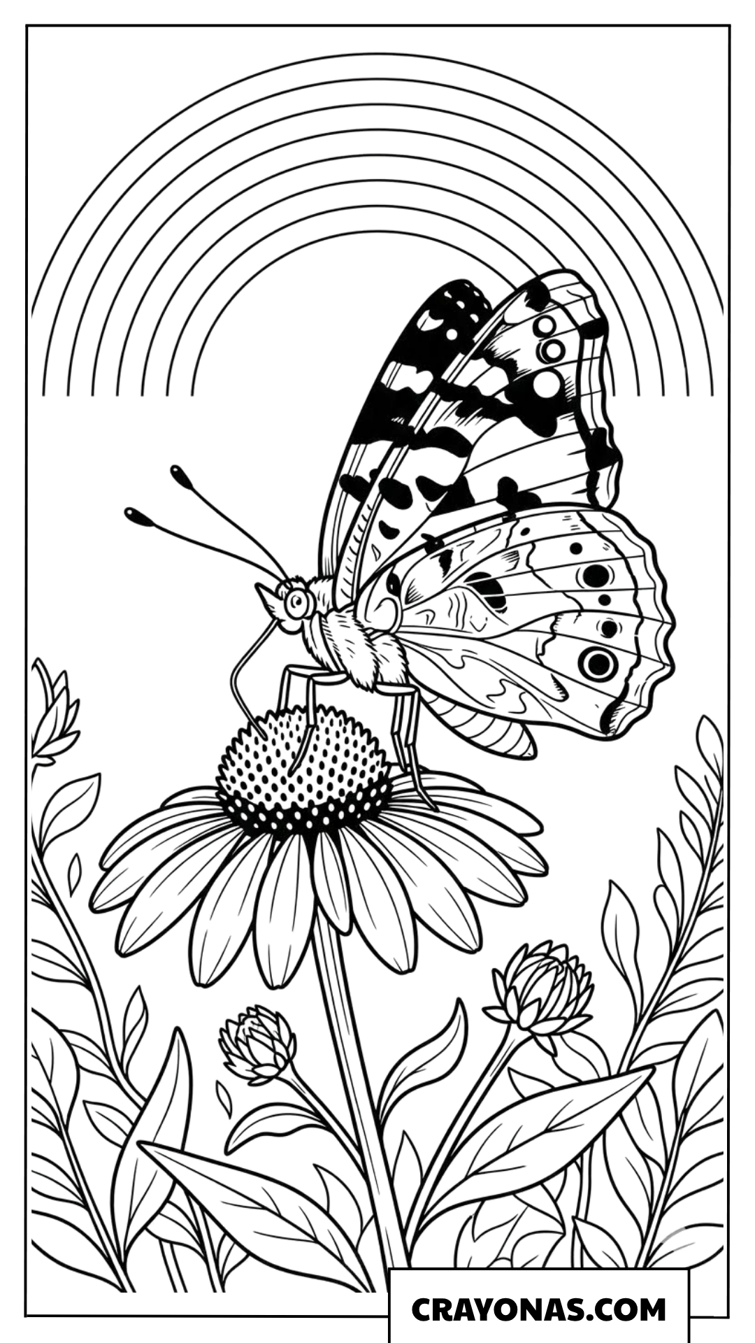 Realistic Butterfly Perched on Coneflower with Rainbow Background Coloring Page
