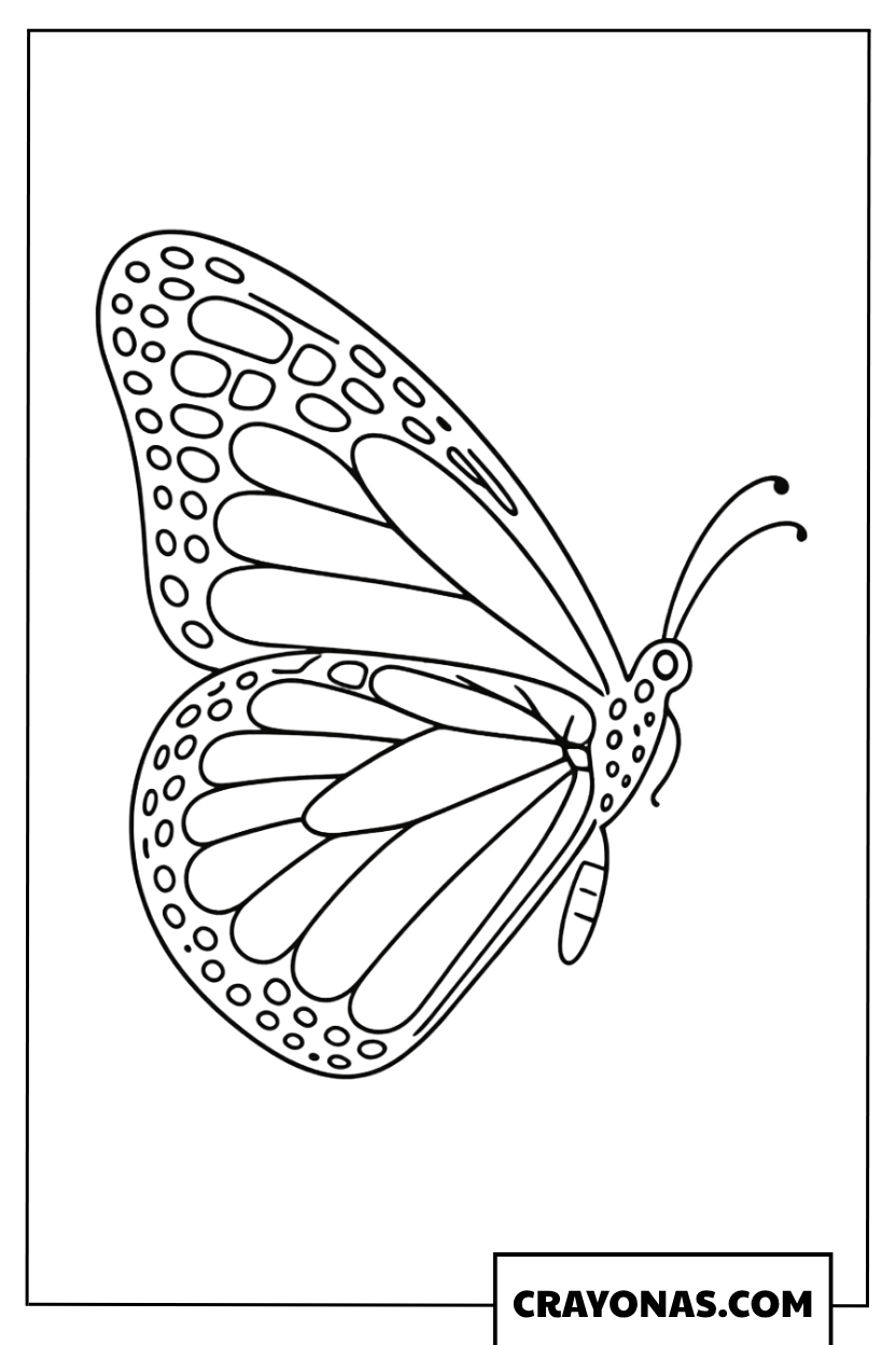 Realistic Monarch Butterfly Flying Upward Coloring Page
