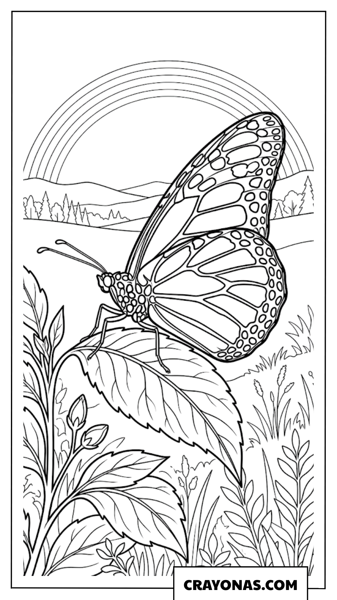 Realistic Monarch Butterfly and Mountain Rainbow Coloring Page