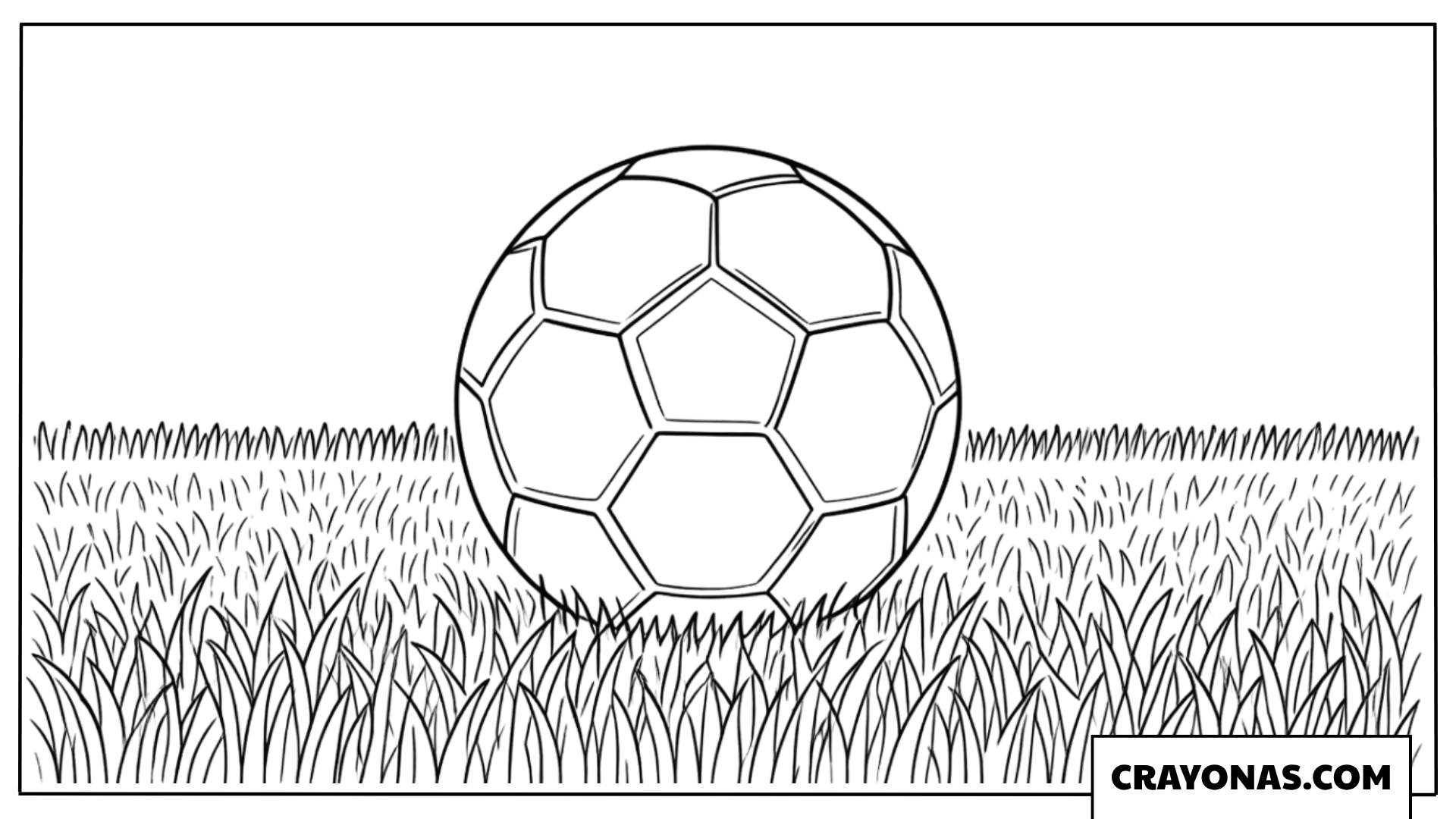 Realistic Soccer Ball on Grass Coloring Page