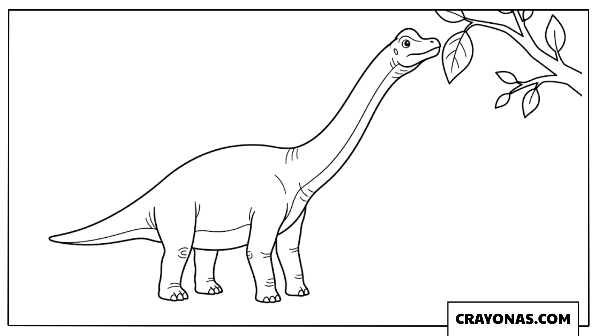 Simple Brachiosaurus Reaching for Tree Leaves Coloring Page