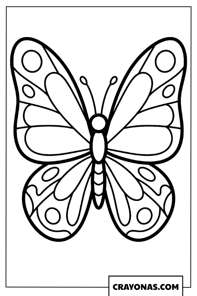 Simple Patterned Cartoon Butterfly Coloring Page