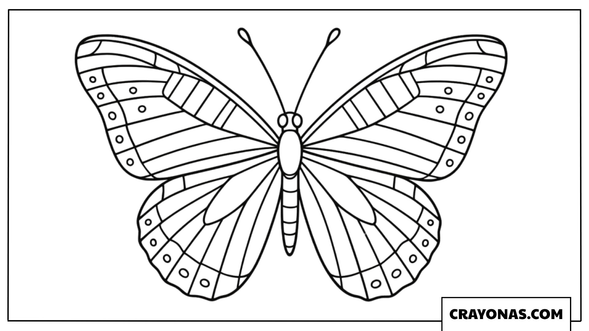 Simple Striped Symmetrical Butterfly Coloring Page