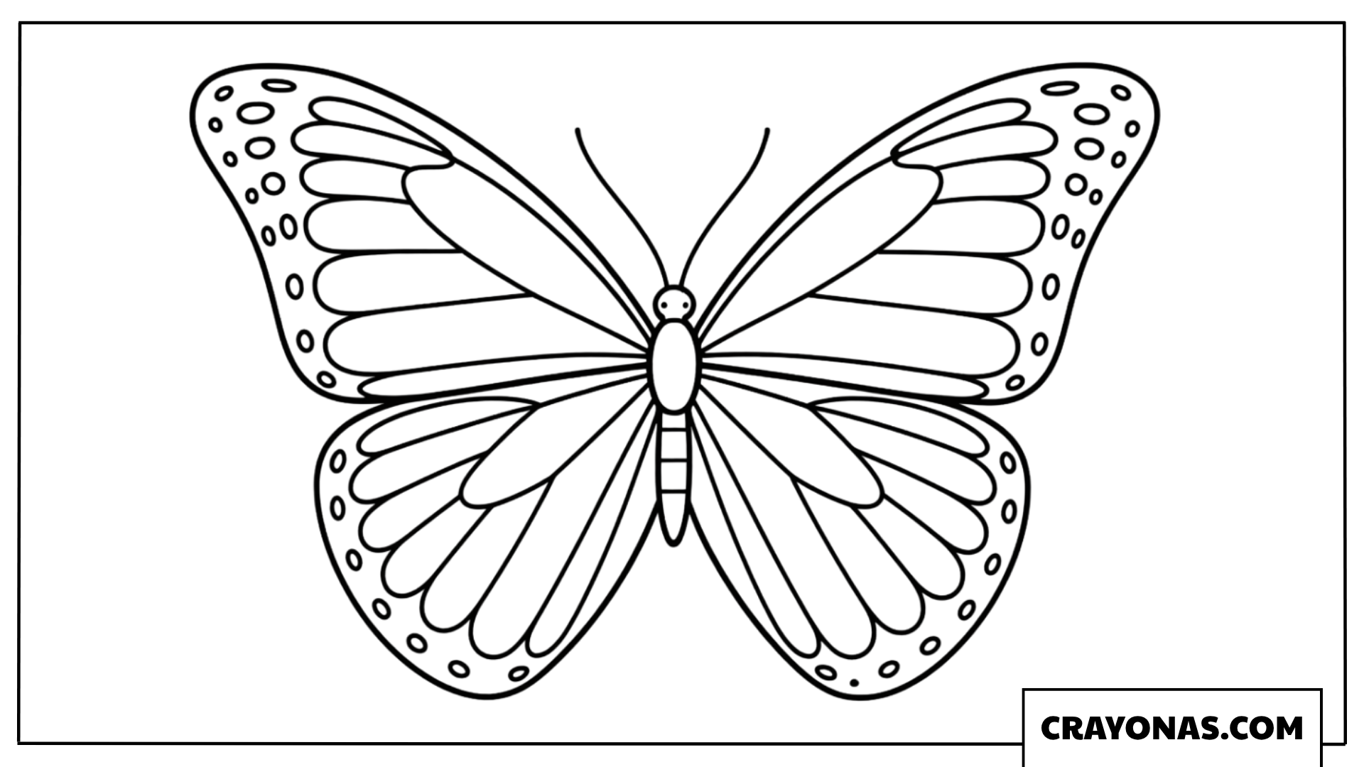 Stunning Blue Morpho Butterfly Coloring Page