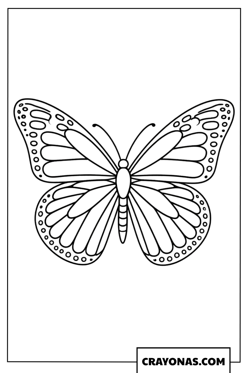 Symmetrical Monarch Butterfly Display Coloring Page