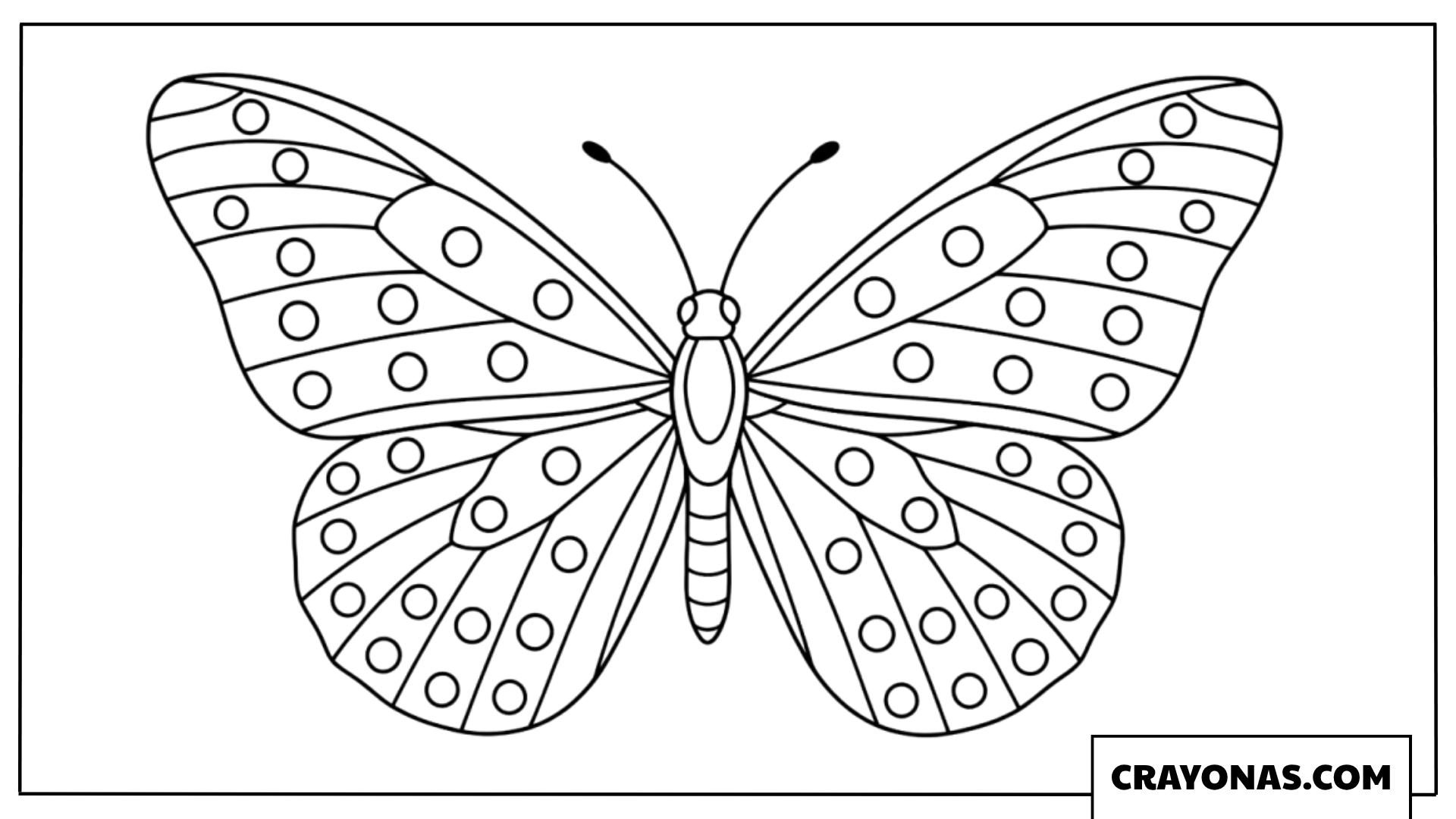 Symmetrical Spotted Wing Butterfly Coloring Page