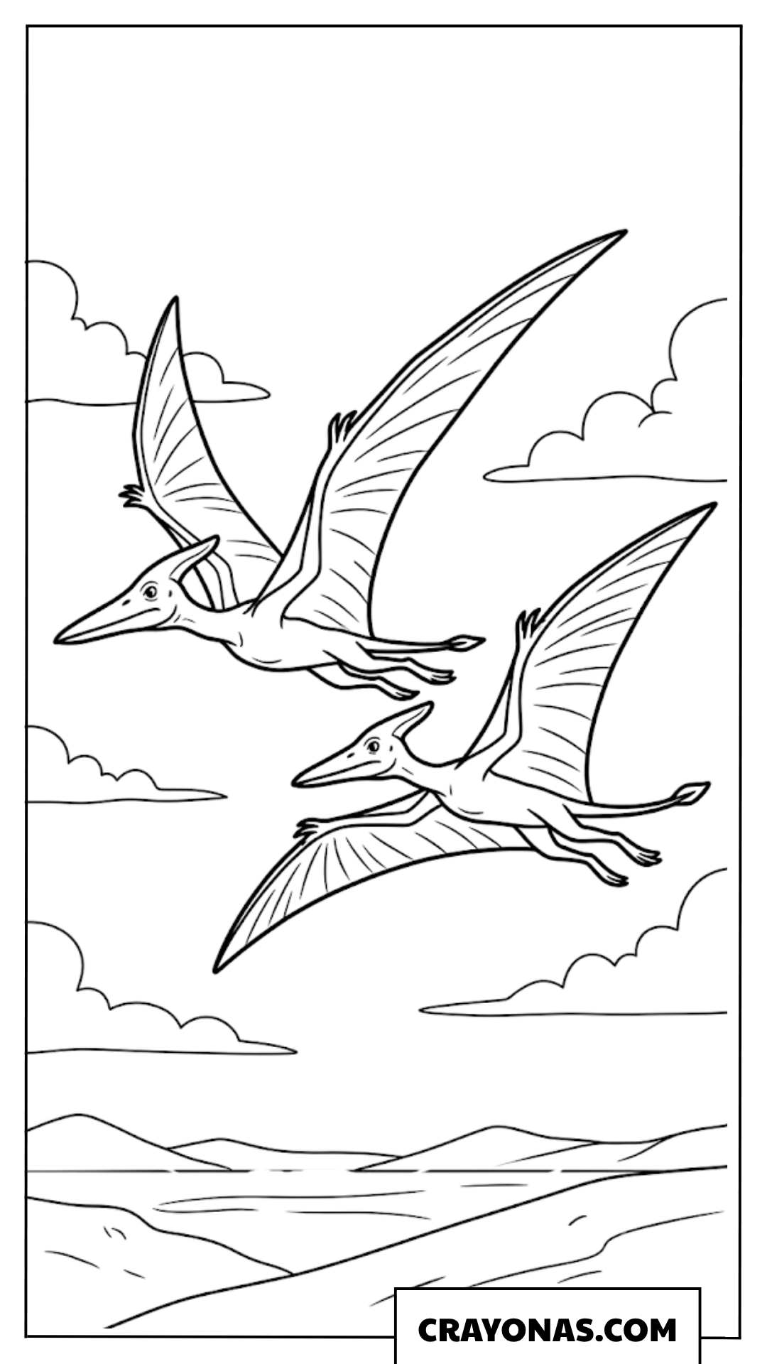 Two Simple Flying Pterodactyls Soaring Together Coloring Page
