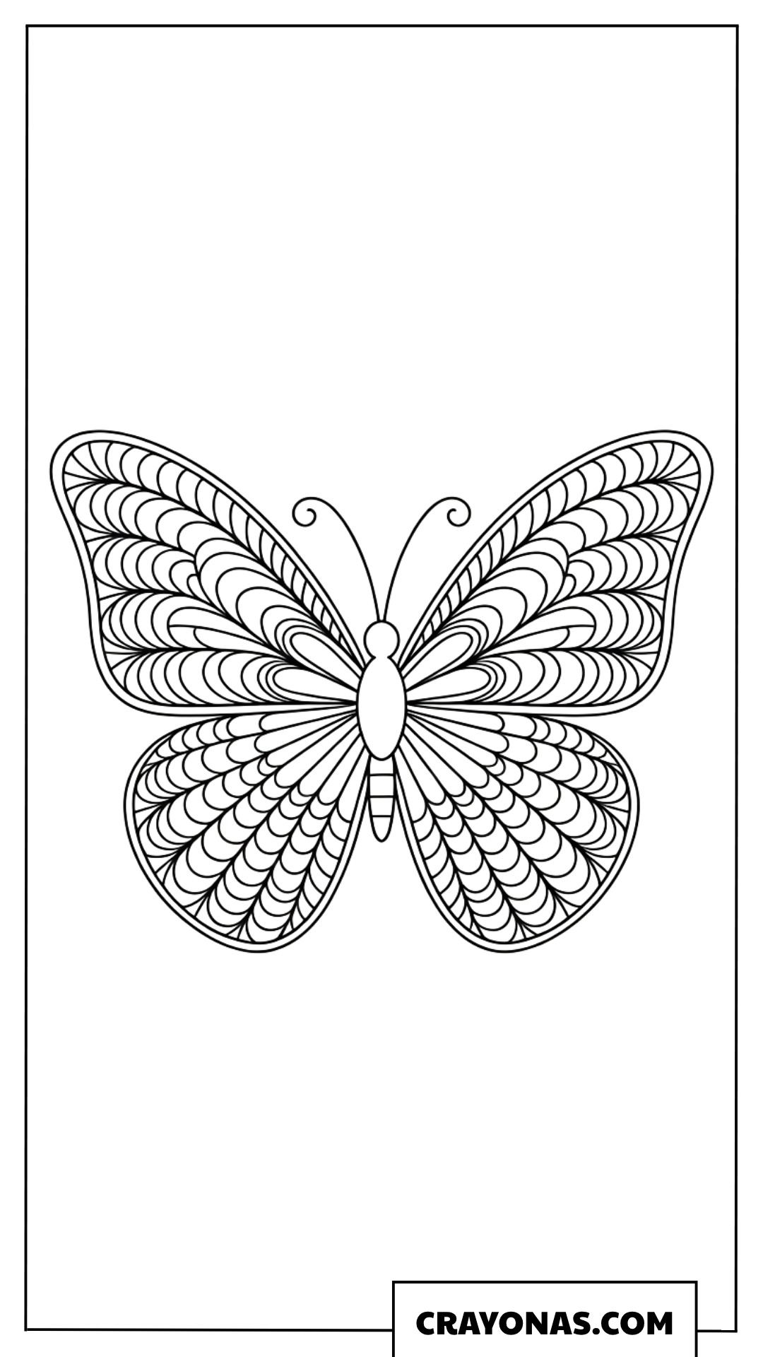 Zentangle Butterfly Wings Coloring Page